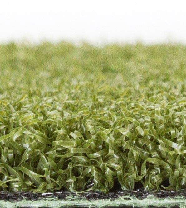 Grass-Tex Money Putt – Realistic Indoor & Outdoor Putting Green Turf