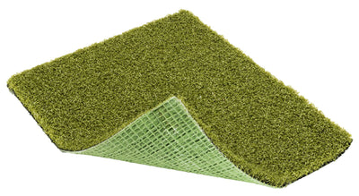 Grass-Tex Money Putt – Realistic Indoor & Outdoor Putting Green Turf