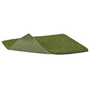 SIGPRO Money Putt Golf Turf
